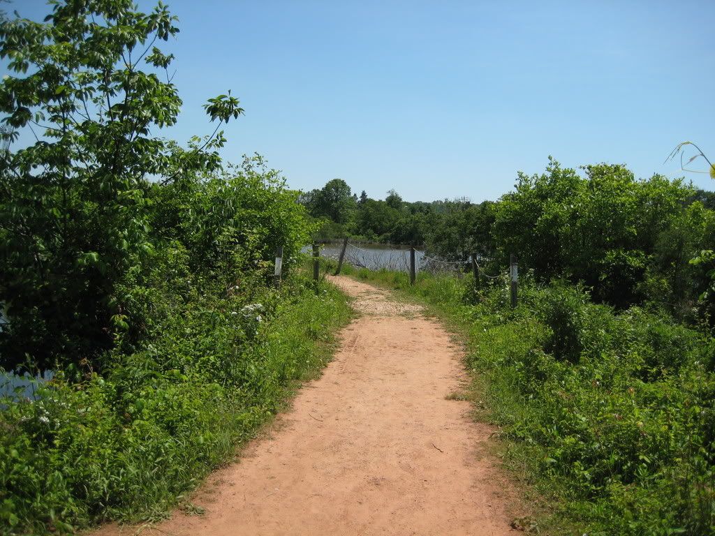 IMG_0255.jpg