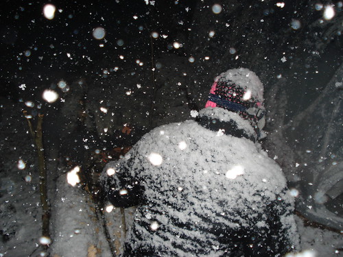12011743984_f578458b15.jpg