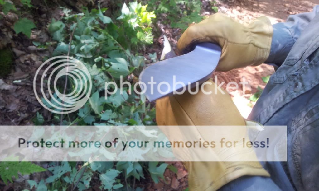 2012-05-10114956.jpg