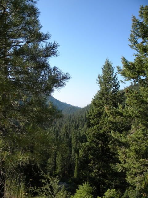 DSCN5536.jpg