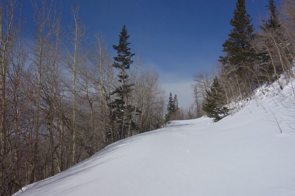 DSC02496_zpserl29faf.jpg