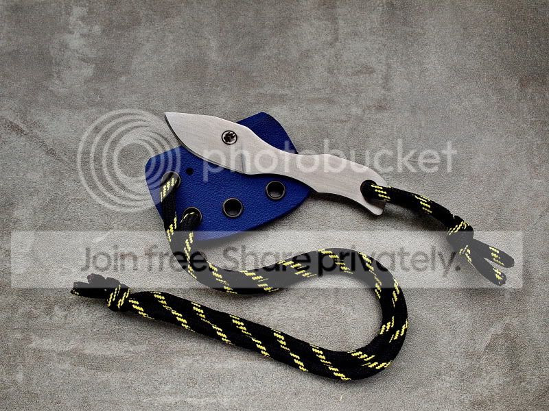 PA312269.jpg