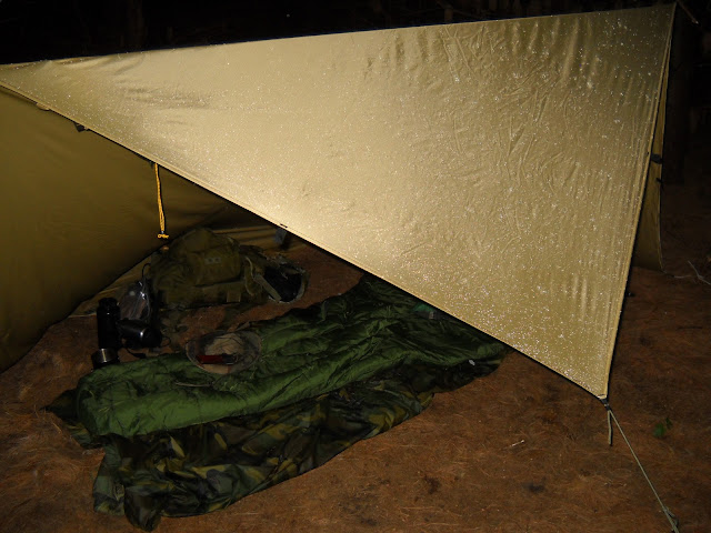 BCUSA%20tarp2.JPG