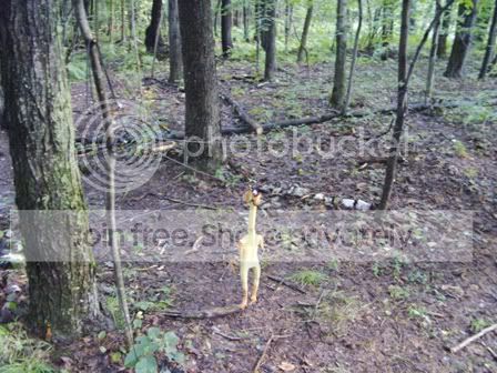 PICT0585.jpg