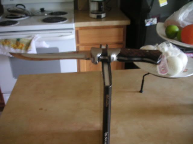 PICT0008.jpg