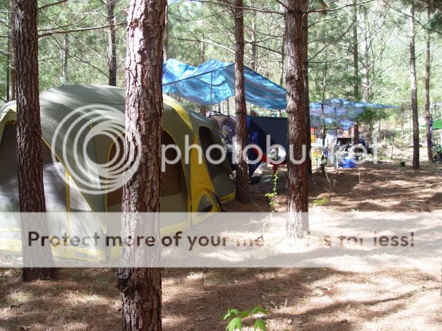 DSC00091.jpg