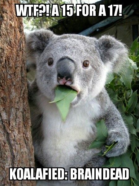 Surprised%20Koala_zpsgi1ywkel.jpg