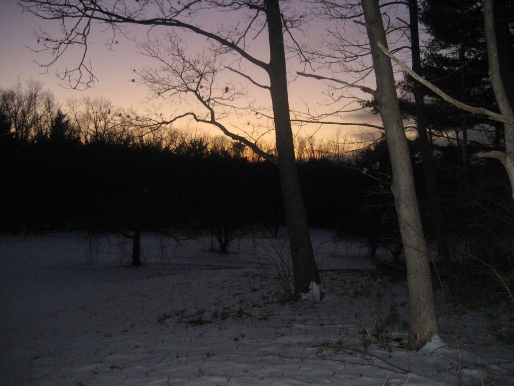 Picture032-4.jpg