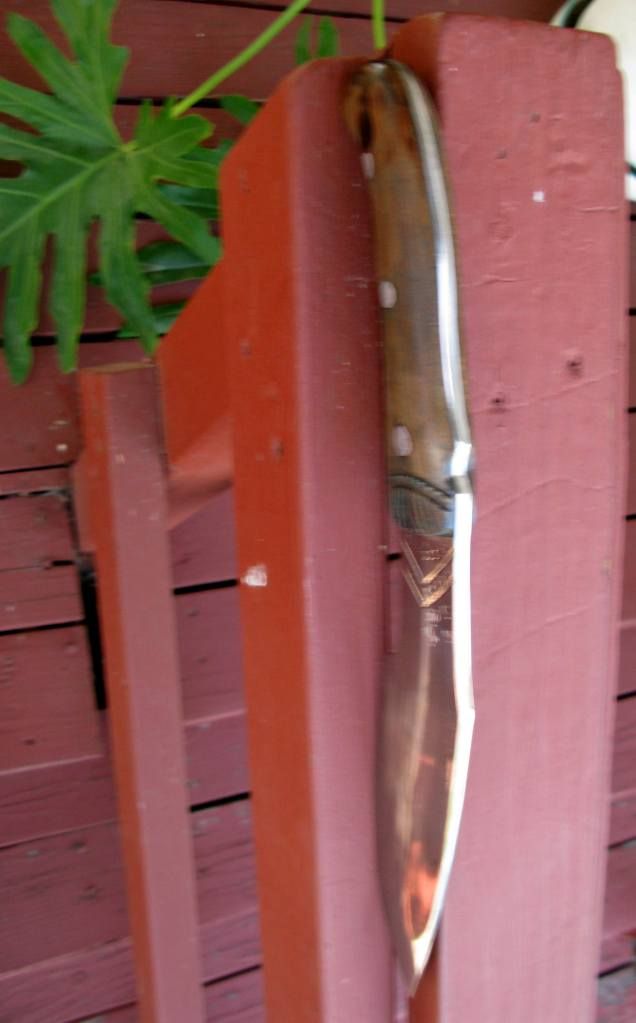 6-07-12008.jpg