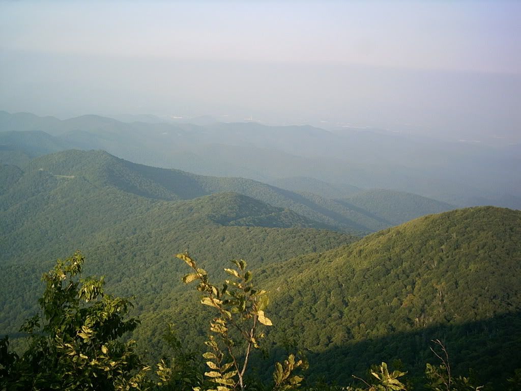 PICT0010.jpg
