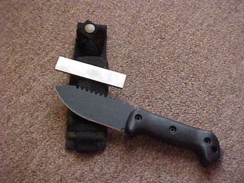 430757970_mRi8N-M.jpg