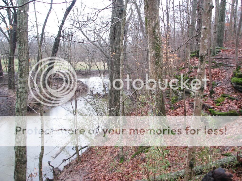 IMG_3427_zpsbdd9eb4f.jpg