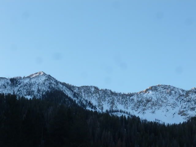 P1020234.jpg