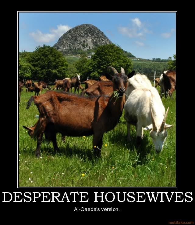 desperate-housewives-demotivational.jpg