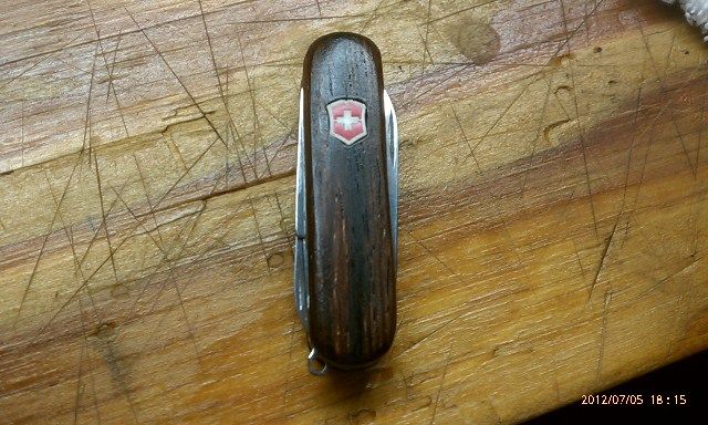 SAKCocobolo.jpg