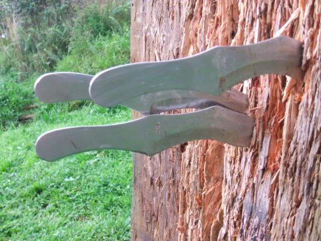 DSCF40822.jpg