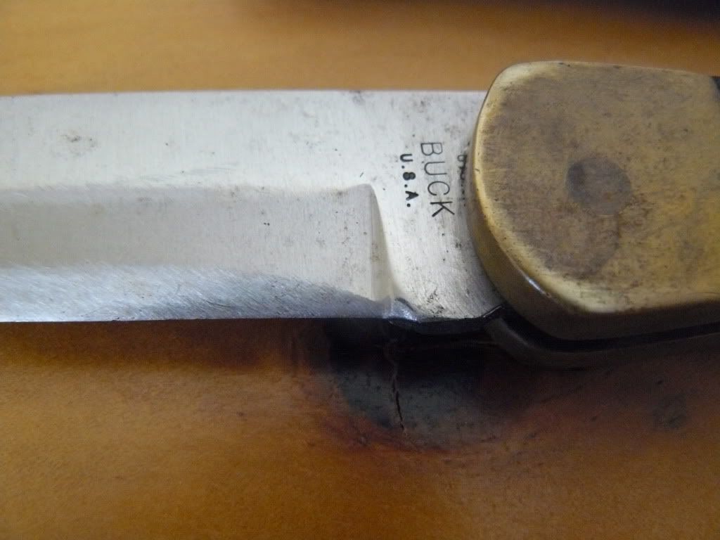 P1050033.jpg