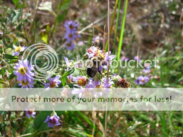 OctoberHike003.jpg