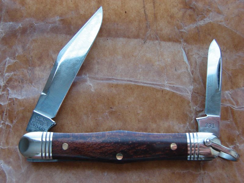 Kauri_4.jpg