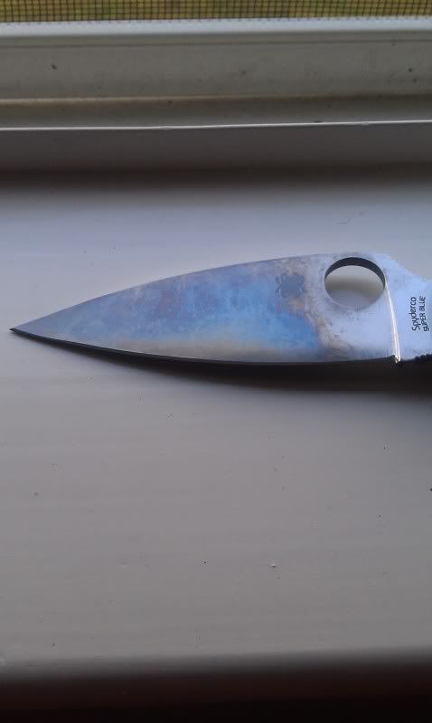 IMAG0020.jpg