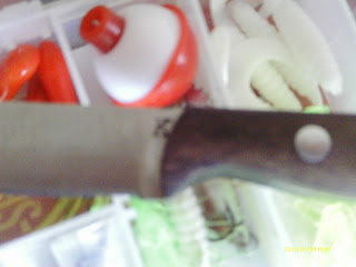 IMAG0624.JPG