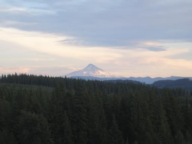 Picture018.jpg