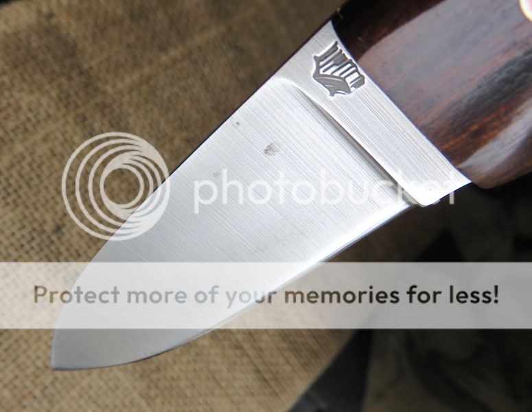 IMG_1463.jpg~original