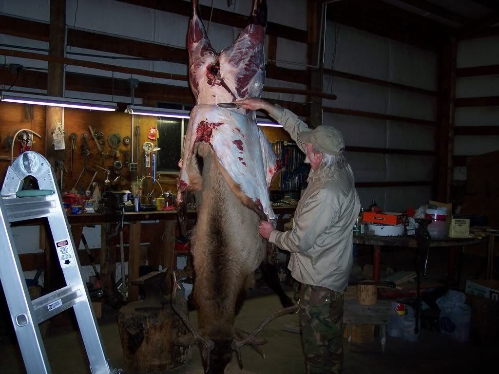 Elkskinning.jpg
