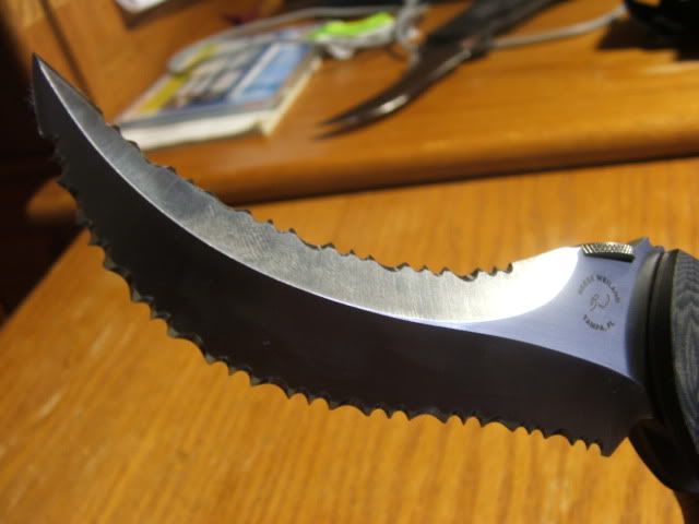 DSCF2230.jpg