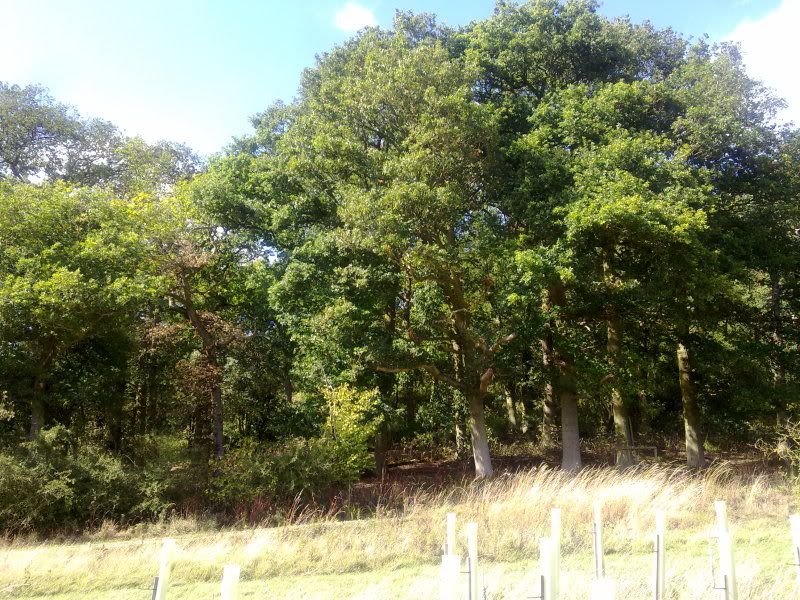 12092011156.jpg