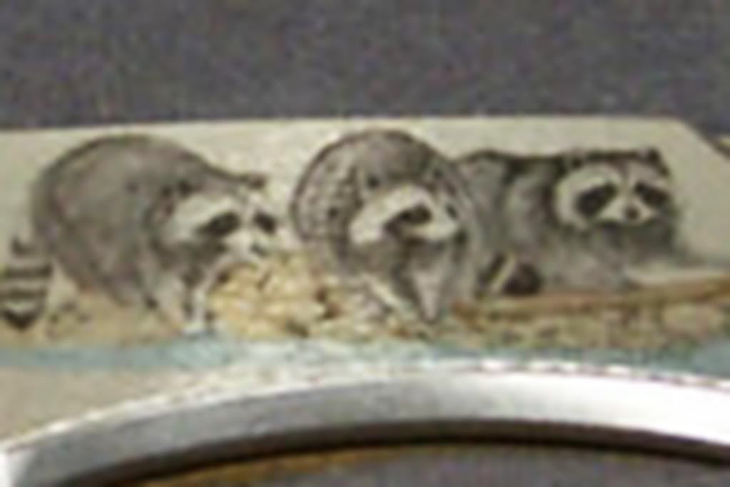 LakotaMesserRacoonsAusschn.jpg