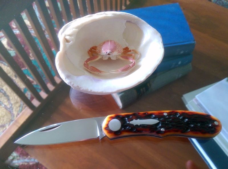 IMAG0966.jpg