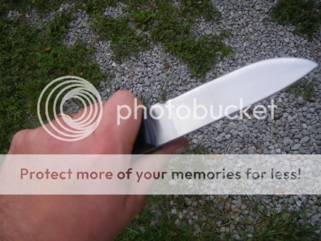 DSCF3278.jpg