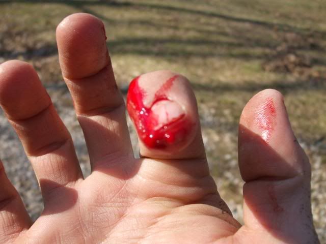 ash1chop1.jpg