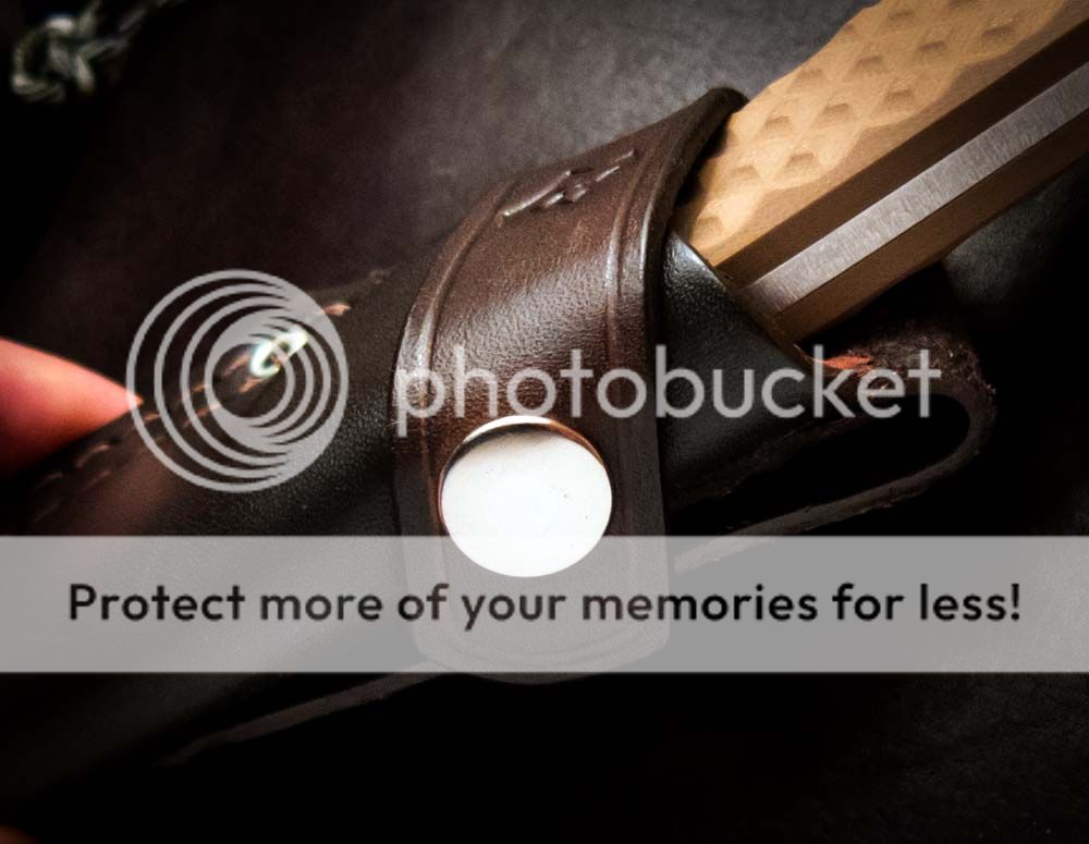 Guardian4_strap_snap.jpg~original