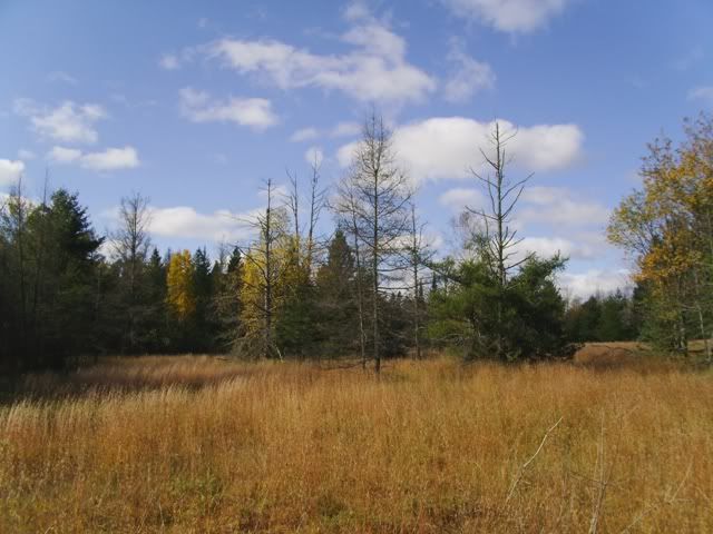 PICT0126.jpg