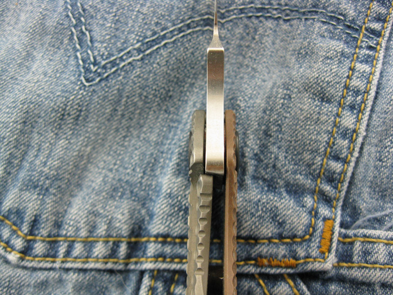 StriderBrnDGG_SnG_005.jpg