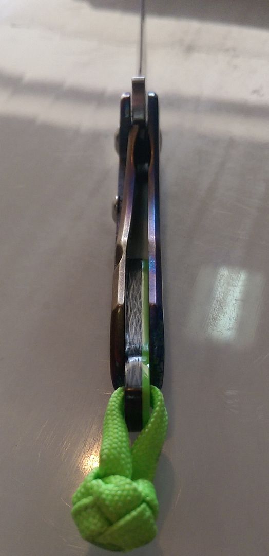 IMAG0124%20Cropped.jpg