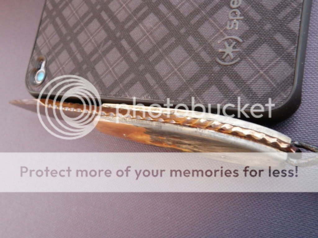 PC260233.jpg