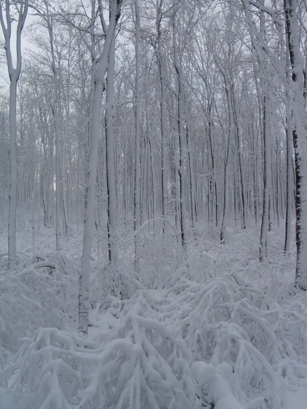 BruceWinter2.jpg