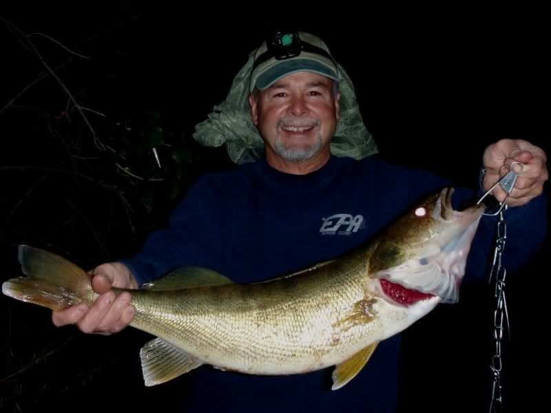27_Inch_7lb_MA_Eye.jpg