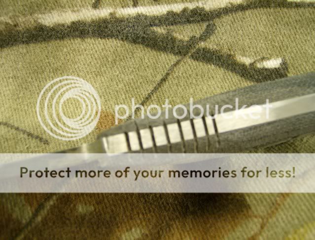 HPIM0706.jpg