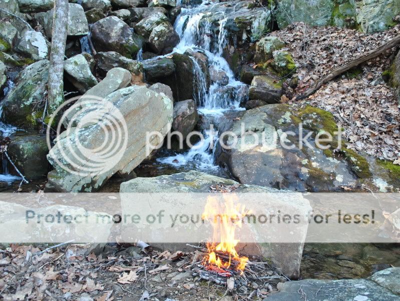 DSC_9391.jpg