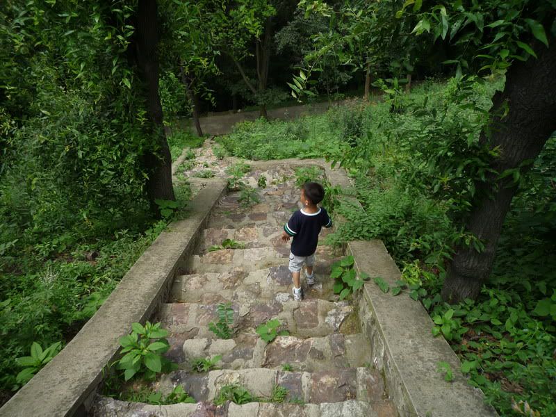 P1080070.jpg