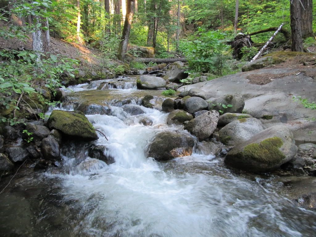 IMG_0205.jpg