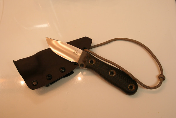 Busse-044-M.jpg
