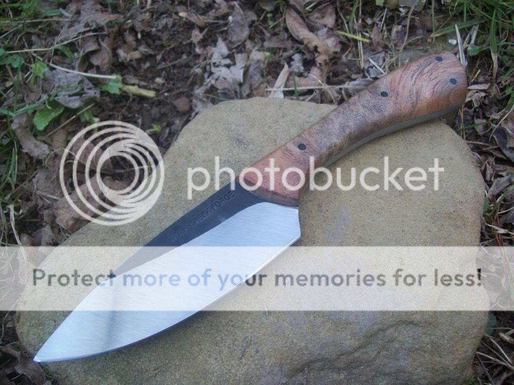 100_8841_zps9bf3873c.jpg