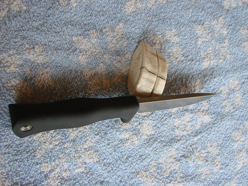 8562039653_bf16514de5.jpg