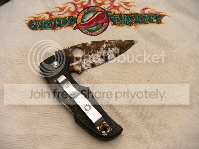 BFSPYDERCOGIN-1NATIVE_2574.jpg