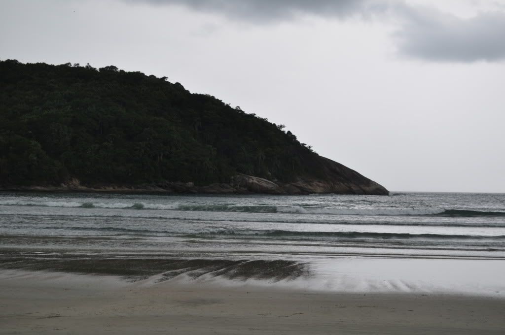 DSC_0043.jpg